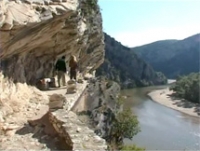 &Epsilon;&lambda;&lambda;&eta;&nu;&iota;&kappa;&omicron;ί &Beta;&iota;ό&tau;&omicron;&pi;&omicron;&iota; - &Nu;έ&sigma;&tau;&omicron;&sigmaf; &Alpha;΄: &Tau;&alpha; &sigma;&tau;&epsilon;&nu;ά