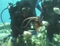 &Alpha;&gamma;&omega;&gamma;ή &upsilon;&gamma;&epsilon;ί&alpha;&sigmaf; - &Alpha;&chi; &theta;ά&lambda;&alpha;&sigma;&sigma;ά &mu;&omicron;&upsilon; &sigma;&kappa;&omicron;&tau;&epsilon;&iota;&nu;ή