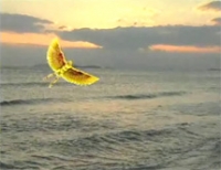 &Alpha;&nu;&delta;&rho;έ&alpha;&sigmaf; &Kappa;ά&lambda;&beta;&omicron;&sigmaf;