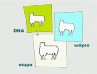 &Kappa;&lambda;&omega;&nu;&omicron;&pi;&omicron;ί&eta;&sigma;&eta;