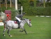 &Omicron;&lambda;&upsilon;&mu;&pi;&iota;&alpha;&kappa;ά &Alpha;&theta;&lambda;ή&mu;&alpha;&tau;&alpha; - &Iota;&pi;&pi;&alpha;&sigma;ί&alpha;