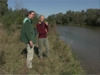 &Epsilon;&lambda;&lambda;&eta;&nu;&iota;&kappa;&omicron;ί &Beta;&iota;ό&tau;&omicron;&pi;&omicron;&iota; - &Nu;έ&sigma;&tau;&omicron;&sigmaf; &Beta;΄: &Tau;&omicron; &delta;έ&lambda;&tau;&alpha;