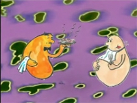 DNA - &Epsilon;&pi;&iota;&sigma;&tau;ή&mu;&eta; &gamma;&iota;&alpha; &pi;&alpha;&iota;&delta;&iota;ά