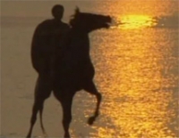 &Alpha;&lambda;έ&xi;&alpha;&nu;&delta;&rho;&omicron;&sigmaf; &omicron; &Mu;έ&gamma;&alpha;&sigmaf;: 2&omicron; &Mu;έ&rho;&omicron;&sigmaf;