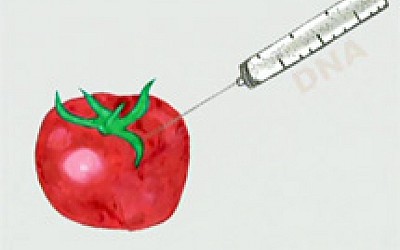 Γενετικά τροποποιημένα τρόφιμα